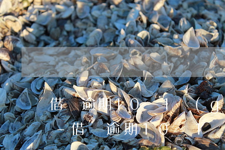 借唄逾期10萬1個(gè)月打電話上門-借唄逾期10萬1個(gè)月打電話上門是真的嗎