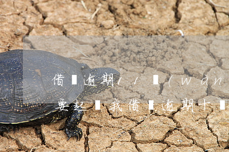 借唄逾期11萬(wàn)一個(gè)月要起訴我（借唄逾期十幾天說(shuō)要起訴）