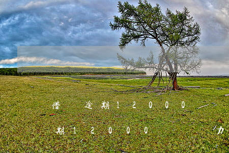 借唄逾期12000暫時無力償還-借唄逾期12000暫時無力償還怎么辦