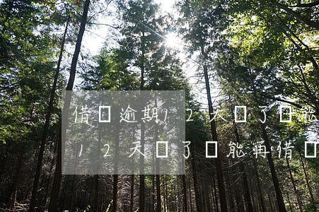 借唄逾期12天還了還能再借嗎-借唄逾期12天還了還能再借嗎