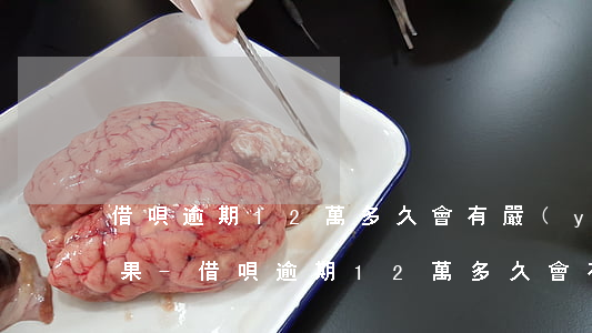 借唄逾期12萬多久會有嚴(yán)重后果-借唄逾期12萬多久會有嚴(yán)重后果呢