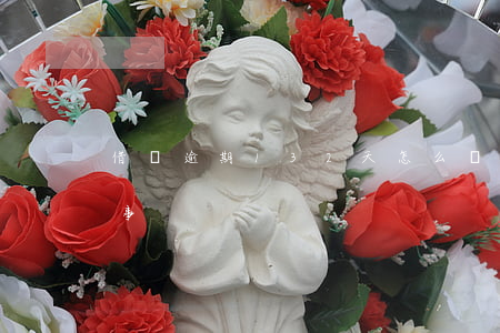 借唄逾期132天怎么辦(借唄逾期好多天沒事)