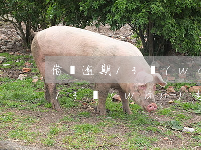 借唄逾期13萬(wàn)起訴了 借唄逾期13萬(wàn)起訴了怎么處理