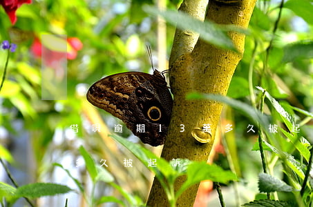 借唄逾期13萬多久被起訴(借唄逾期13萬多久被起訴)
