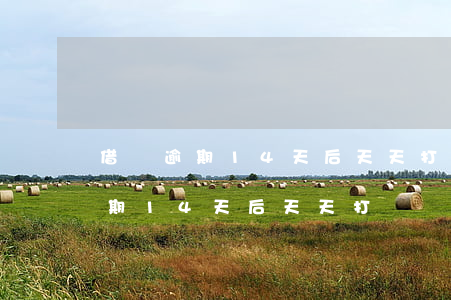 借唄逾期14天后天天打電話過來-借唄逾期14天后天天打電話過來怎么辦