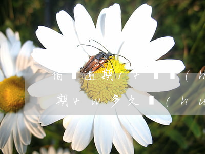 借唄逾期14萬會(huì)坐牢嗎(借唄逾期4w多久會(huì)起訴)