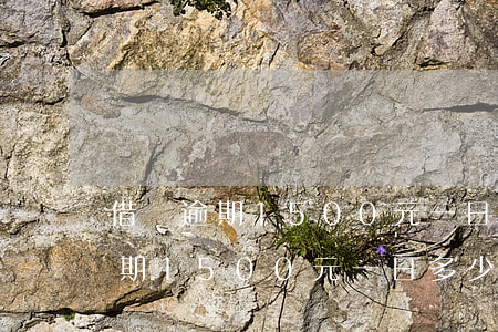 借唄逾期1500元一日多少利息-借唄逾期1500元一日多少利息啊