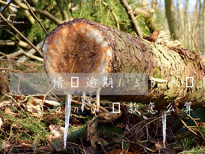 借唄逾期150天罰息高(借唄逾期一萬(wàn)罰款怎么算)