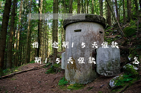借唄逾期15天催款沒錢還怎么辦-借唄逾期15天催款沒錢還怎么辦呢