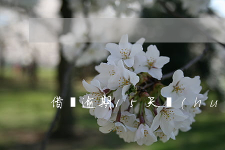 借唄逾期15天會(huì)被起訴嗎