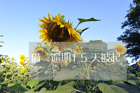 借唄逾期15天被起訴(螞蟻借唄逾期15天)