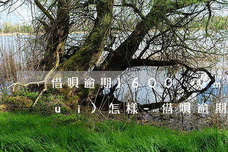 借唄逾期1600沒(méi)錢還會(huì)怎樣-借唄逾期1600沒(méi)錢還會(huì)怎樣處理