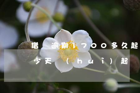 借唄逾期1700多久起訴(花唄借唄逾期多少天會(huì)起訴,我已經(jīng)還了2000多)
