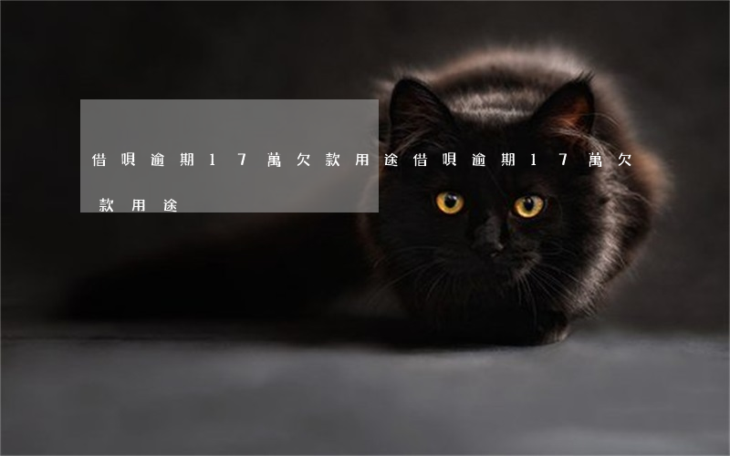 借唄逾期17萬欠款用途(借唄逾期17萬欠款用途)
