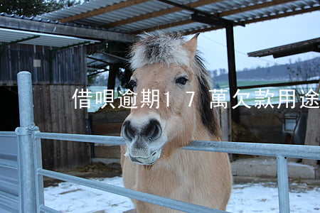 借唄逾期17萬欠款用途(借唄逾期7萬多)