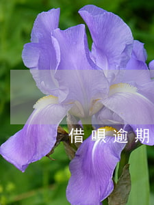 借唄逾期180天會怎樣