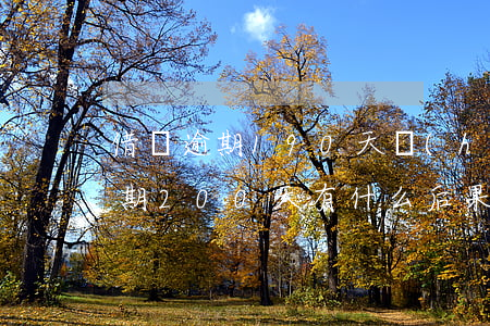 借唄逾期190天會(huì)怎樣(借唄逾期200天有什么后果)