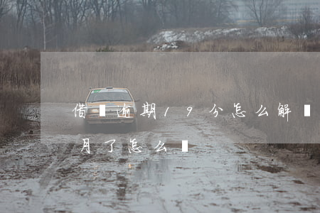 借唄逾期19分怎么解決(借唄9萬逾期五個月了怎么辦)