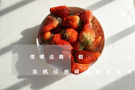 借唄逾期1個(gè)月可以協(xié)商(螞蟻借唄逾期半年可以協(xié)商不還利息嗎)
