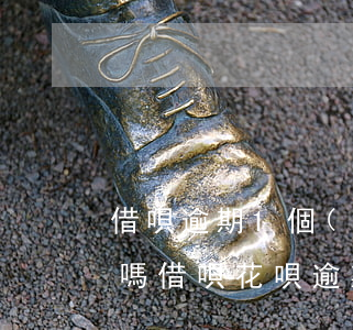 借唄逾期1個(gè)月會(huì)起訴嗎(借唄花唄逾期半年了,欠款1萬(wàn)多會(huì)起訴我嗎)