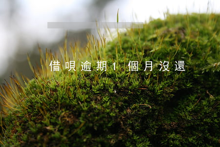借唄逾期1個月沒還