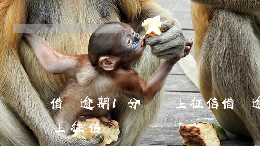 借唄逾期1分鐘會上征信(借唄逾期1分鐘會上征信)