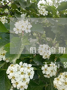 借唄逾期1天會影響使用嗎(借唄不小心逾期一天有影響嗎)