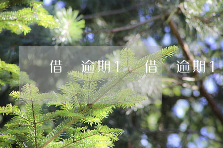 借唄逾期1 萬(借唄逾期1萬圖片)