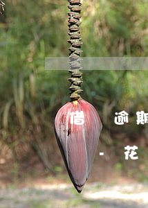 借唄逾期1萬多塊錢法院會(huì)受理嗎-花唄,借唄逾期1萬多塊錢法院會(huì)受理嗎