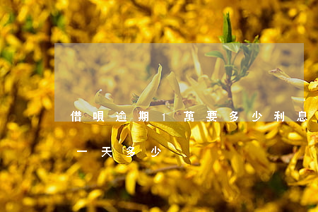 借唄逾期1萬要多少利息(借唄7000逾期一天多少)