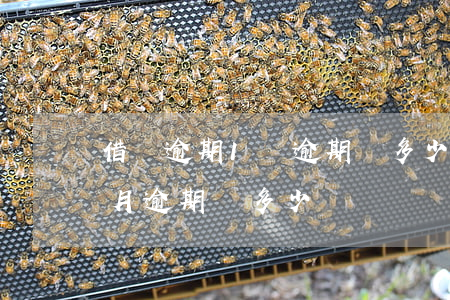 借唄逾期1萬逾期費多少錢(借唄逾期2萬,每月逾期費多少)