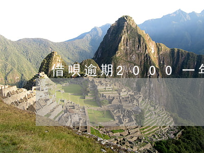 借唄逾期2000一年(借唄逾期2000多)