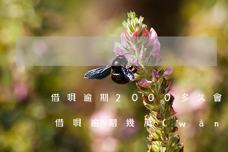 借唄逾期2000多久會(huì)被起訴(借唄逾期幾萬(wàn)會(huì)起訴)