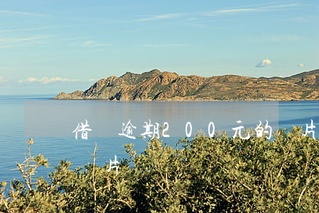 借唄逾期200元的圖片(借唄欠20000圖片)