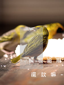借唄逾期200多天還可以協(xié)商還款嘛-借唄逾期幾百塊