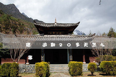 借唄逾期20多天怎么辦(借唄逾期好多天沒事)