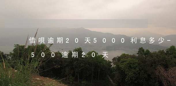 借唄逾期20天5000利息多少-借唄2500逾期20天