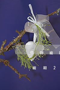 借唄逾期20天了,期間還了一點進去-借唄逾期20天了,期間還了一點進去有影響嗎