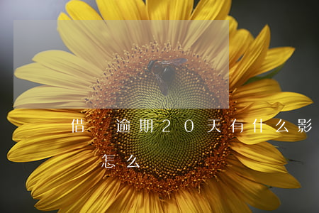 借唄逾期20天有什么影響(借唄逾期20天會怎么樣)