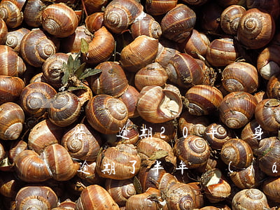 借唄逾期20年親身經(jīng)歷(借唄逾期了半年嚴(yán)重嗎)