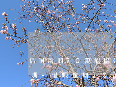 借唄逾期20萬能協(xié)商分期付款嗎-借唄逾期20萬能協(xié)商分期付款嗎