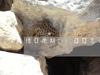 借唄逾期21萬會怎么樣(借唄逾期7萬多)