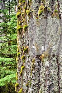 借唄逾期22天還進(jìn)去還能刷出來嗎-借唄逾期22天還進(jìn)去還能刷出來嗎怎么辦