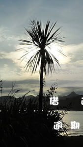 借唄逾期270天收到短信說要上門-借唄逾期270天收到短信說要上門是真的嗎