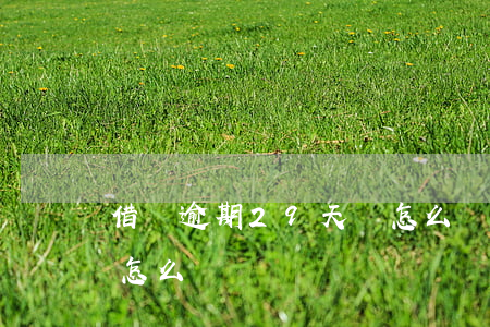借唄逾期29天會怎么樣(借唄逾期7個天會怎么樣)