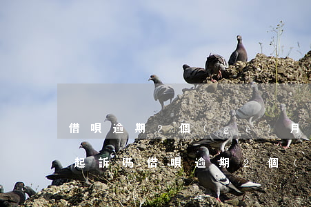 借唄逾期2個(gè)月了會(huì)被起訴嗎（借唄逾期2個(gè)月）