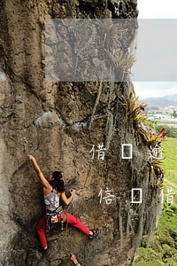 借唄逾期2個(gè)月會(huì)上征信嗎(借唄逾期幾次了會(huì)不會(huì)上征信)