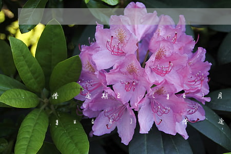 借唄逾期2個(gè)月會(huì)關(guān)閉嗎(借唄逾期兩次關(guān)閉了)