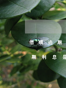 借唄逾期2個月利息多少(支付寶借唄如果逾期,利息是多少錢一個月)