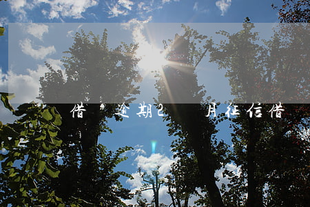 借唄逾期2個月 征信(借唄逾期2個月 征信)